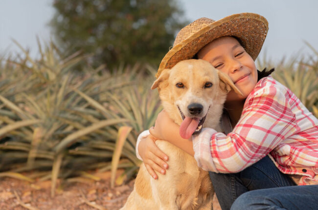 Sanfte Narkose in der Tierzahnmedizin