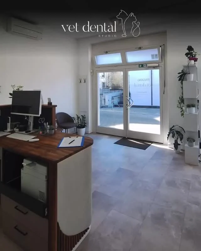 Schon wieder Montag? 🫣

Für manche ein Fluch, für andere der Start in eine neue Woche. 🌱

Bei Vetdental.ch ist kein Tag wie der andere! 

Genau wie das Wetter: Sonnige Momente wechseln sich mit überraschendem Schnee ab. Der März hat uns da noch einmal überrascht.

Jeder Patient bringt neue Geschichten, kleine Herausforderungen und grosse Fortschritte mit. 

Genau diese Vielfalt macht unsere Arbeit so besonders. 🐶🐱

Wir sind dankbar für euer Vertrauen und freuen uns, eure Vierbeiner auch diese Woche zu begleiten. 💙

—
Wir sind #vetdentalch – die Spezialisten für Tierzahnmedizin bei Hunden & Katzen in Affoltern am Albis (ZH). 💙
—

#VetdentalCH #Tierzahnmedizin #ZahnpflegeHund #ZahnpflegeKatze #TierarztTipps #GesundeTiere #HappyPets #Tiergesundheit #Tierliebe #Tierarztpraxis