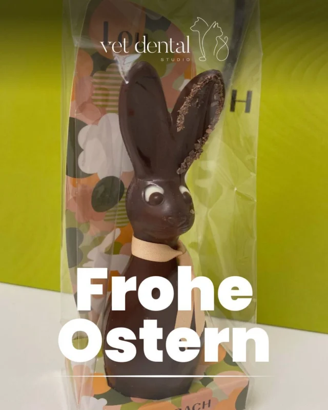 Wir wünschen allen Frohe Ostern! 🌸🐣

Geniesst die Feiertage mit euren Liebsten – und natürlich auch mit euren tierischen Begleitern 🐶🐱

Passt auf, dass der Osterhase nicht zu viele Leckereien für eure Vierbeiner versteckt 😉🍫🚫
Bleibt gesund und habt wunderschöne Ostertage! 🌷

Wir haben über Ostern geschlossen und sind ab Dienstag 07.04.2026 wieder für euch erreichbar.

—
Wir sind #vetdentalch – die Spezialisten für Tierzahnmedizin bei Hunden & Katzen in Affoltern am Albis (ZH). 💙
—

#FroheOstern #VetDental #Tiergesundheit #Ostern2026 #Tierliebe