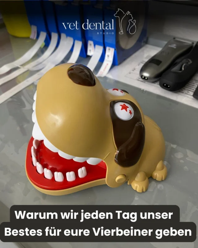 Warum wir jeden Tag unser Bestes für eure Vierbeiner geben.

Unser Hundemaskottchen begleitet uns täglich bei unserer Arbeit – es erinnert uns daran, warum wir tun, was wir tun: Für die Gesundheit, das Wohlbefinden und das glückliche Lächeln unserer tierischen Patienten. 🦷💙

Mit Herz, Fachwissen und einer grossen Portion Tierliebe setzen wir uns jeden Tag für die Zahngesundheit eurer Vierbeiner ein. 🐾

—
Wir sind #vetdentalch – die Spezialisten für Tierzahnmedizin bei Hunden & Katzen in Affoltern am Albis (ZH). 💙
—

#vetdental #tierliebe #hundegesundheit #tierarzt #zahnmedizin