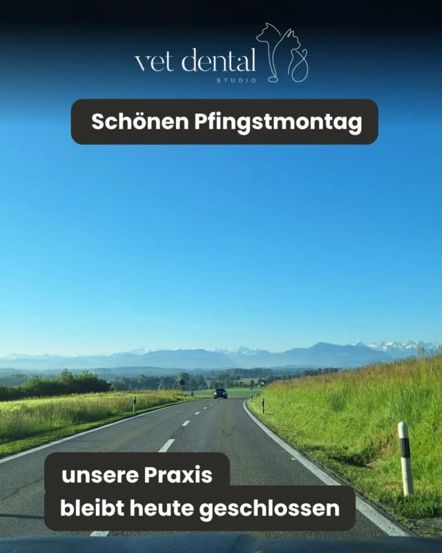 Der Weg zur Praxis bei diesem schönen Wetter…☀️

…heute allerdings nur fürs Foto 😉
Denn unsere Praxis bleibt heute geschlossen.

Wir wünschen euch einen gemütlichen Pfingstmontag mit euren Fellnasen 🐾💚
Ab morgen Dienstag sind wir wieder für euch da.

—
Wir sind #vetdentalch – die Spezialisten für Tierzahnmedizin bei Hunden & Katzen in Affoltern am Albis (ZH). 💙
—

#Pfingstmontag #VetDental #Tierzahnmedizin #Zürich #Hundezahnarzt #Katzenzahnarzt #VeterinaryDentistry #Tierarzt #Pfingsten #Praxisalltag #FeiertagMitHund #Tiergesundheit #Fellnasen #vetdental