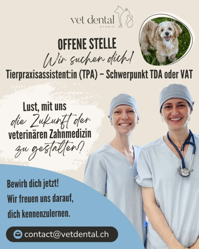 🐶🦷 Deine Leidenschaft gilt der Tiermedizin und der Dentalassistenz?Das Vet Dental Studio in Affoltern am Albis sucht eine Tierpraxisassistent (TPA) mit Schwerpunkt TDA oder VAT (60–100 %). Freue dich auf geregelte Arbeitszeiten, keine Nacht- oder Wochenenddienste, ein motiviertes Team und spannende Einblicke in die spezialisierte Tierzahnmedizin. 🦷✨📍 Affoltern am Albis, Zürich📩 Bewerbung an: contact@vetdental.chWir freuen uns darauf, dich kennenzulernen!—Wir sind #vetdentalch – die Spezialisten für Tierzahnmedizin bei Hunden &amp; Katzen in Affoltern am Albis (ZH). 💙—#TPA #Tierpraxisassistentin #Tiermedizin #VeterinaryJobs #Jobangebot #AffolternAmAlbis #VetDentalStudio #KarriereMitTieren #GSTSVS