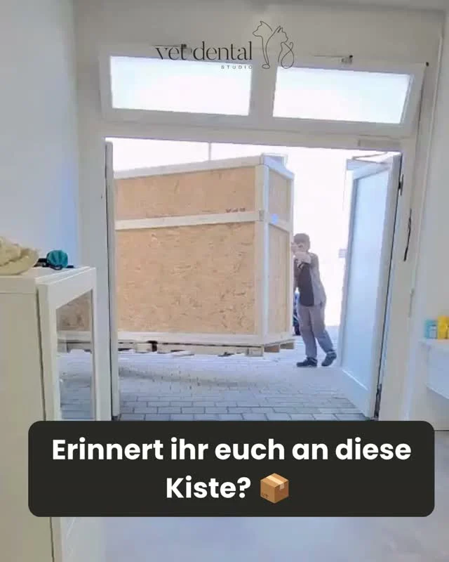 📦 Erinnert ihr euch an diese Kiste?Darin steckt die Zukunft unserer Diagnostik.✨ Ein Cone Beam CT (CBCT).Die hochauflösende 3D-Bildgebung ermöglicht Einblicke, die mit herkömmlichen Röntgenaufnahmen nicht möglich sind. Sie liefert detailreiche Darstellungen knöcherner Strukturen und unterstützt uns bei einer präzisen Diagnostik sowie einer fundierten Behandlungsplanung.Neben den vielfältigen Einsatzmöglichkeiten in der Tierzahnmedizin eröffnet das Cone Beam CT auch spannende Perspektiven für weitere diagnostische Fragestellungen. Wir freuen uns darauf, die Möglichkeiten dieser innovativen Technologie Schritt für Schritt auszuschöpfen. 💙—Wir sind #vetdentalch – die Spezialisten für Tierzahnmedizin bei Hunden &amp; Katzen in Affoltern am Albis (ZH). 💙—#Tierzahnmedizin #DentalCT #VeterinaryDentistry #Tiermedizin #Vetmed #3DBildgebung #Tiergesundheit #ModerneTiermedizin