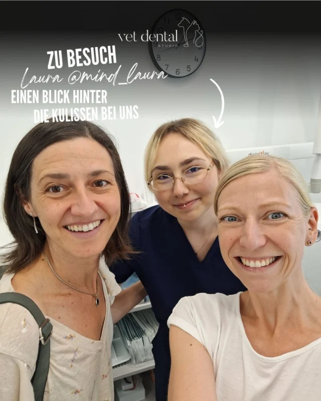 Wir durften Laura für kurze Zeit bei Vet Dental Studio begrüssen. 🦷✨

Vielen Dank für deinen Besuch @mind_laura, dein Interesse an der Tierzahnmedizin und deine positive Art. 

Es hat uns gefreut, dir einen Einblick in unseren Praxisalltag zu geben und dich auf einem kleinen Stück deines beruflichen Weges begleiten zu dürfen.

Liebe Laura, wir wünschen dir für dein Studium und deine berufliche Zukunft von Herzen alles Gute und viel Erfolg! 🍀

—
Wir sind #vetdentalch – die Spezialisten für Tierzahnmedizin bei Hunden & Katzen in Affoltern am Albis (ZH). 💙
—

#VetDental #VetDentalCH #Tierzahnmedizin #Veterinärmedizin #Tierarzt #DentalVet #VeterinaryDentistry #Studentin #Praktikum #FutureVet #TeamVetDental #AffolternamAlbis