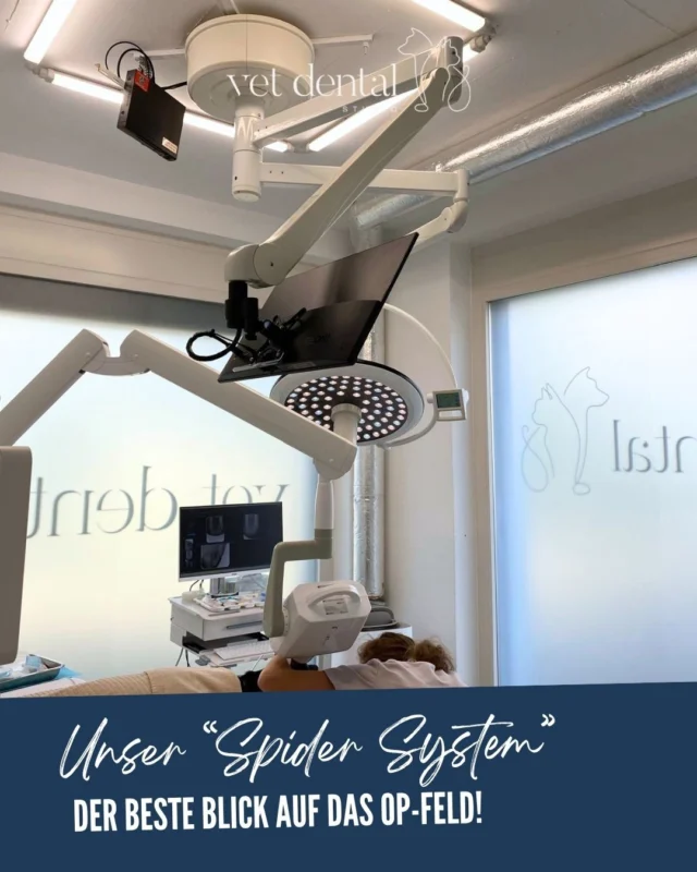🕷️ Unser „Spider System“ – der beste Blick auf das OP-Feld!

Diesen Namen haben wir unserem neuen Setup gegeben: 

Eine in die OP-Leuchte integrierte Kamera überträgt das Operationsfeld live. 

So erhalten Hospitant:innen, Besucher:innen und Kursteilnehmende dieselbe Perspektive wie unsere Tierzahnärztin während der Behandlung.

Das macht jeden Eingriff anschaulicher und ermöglicht eine praxisnahe Wissensvermittlung – direkt aus der Sicht der Operateurin.

🎓 Du interessierst dich für Tierzahnmedizin und möchtest bei uns hospitieren oder an einem Kurs teilnehmen?

Wir freuen uns auf deine Nachricht!
📩 contact@vetdental.ch

—
Wir sind #vetdentalch – die Spezialisten für Tierzahnmedizin bei Hunden & Katzen in Affoltern am Albis (ZH). 💙
—

#Tierzahnmedizin #VeterinaryDentistry #Veterinärmedizin #Fortbildung