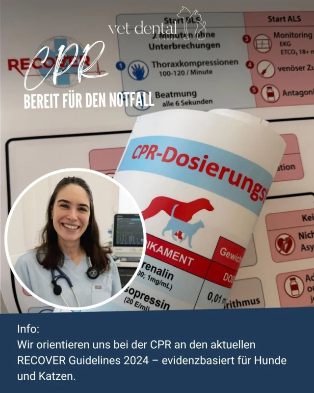 🐾 CPR bei Hund &amp; Katze – wir sind vorbereitet.Notfälle passieren unerwartet. Umso wichtiger ist es, dass im entscheidenden Moment jeder Handgriff sitzt.Bei VetDental orientieren wir uns bei der kardiopulmonalen Reanimation an den aktuellen RECOVER CPR Guidelines 2024 – evidenzbasierten Empfehlungen für die Reanimation von Hunden und Katzen.Besonders wertvoll: Mit unserer RECOVER-zertifizierten Anästhesistin haben wir entsprechende Expertise direkt im Team. 🩺🐾Unsere neuen RECOVER-Poster dienen im Notfall als schnell zugängliche kognitive Hilfe – damit im Ernstfall nicht erst überlegt, sondern gehandelt werden kann.Evidence-based. Prepared. For every patient. ❤️—Wir sind #vetdentalch – die Spezialisten für Tierzahnmedizin bei Hunden &amp; Katzen in Affoltern am Albis (ZH). 💙—#VetDental #RECOVERCPR #VeterinaryAnesthesia