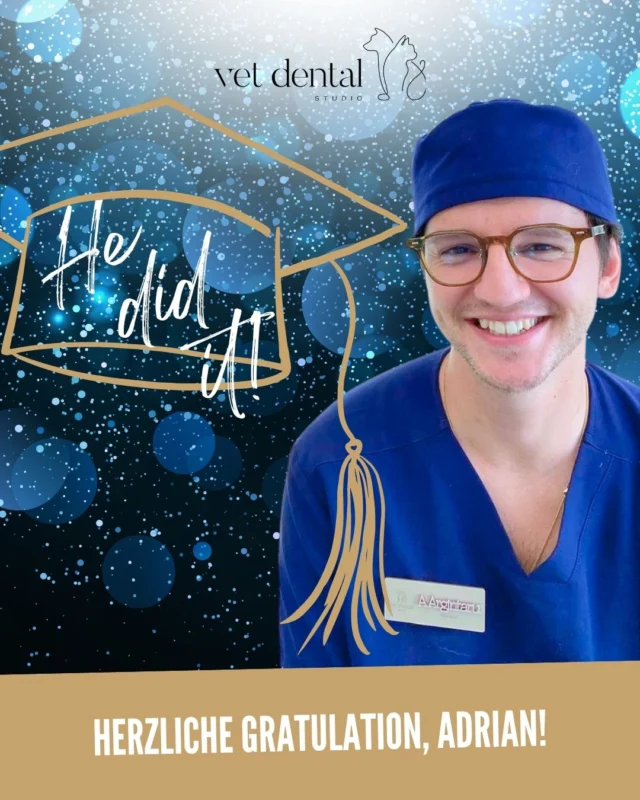 🎓 Herzliche Gratulation, Adrian!

Aus «bald Dr. med. vet.» ist nun «Dr. med. vet.» geworden! 🎉 

Wir gratulieren Adrian Argintaru herzlich zu seiner erfolgreichen Promotion und freuen uns, diesen Meilenstein mit ihm feiern zu dürfen. ❤️

Schön, dich in unserem Team zu haben, lieber Adrian! 🦷🐶🐱 

—
Wir sind #VetDentalCH – die Spezialisten für Tierzahnmedizin bei Hunden und Katzen in Affoltern am Albis (ZH). 💙
—

#DrMedVet #Tierzahnmedizin #HerzlicheGratulation