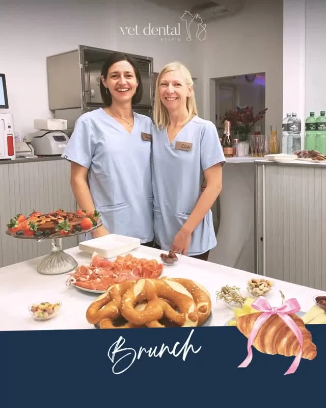 🥐 Brunch, Austausch & tierisch gute Begegnungen 🐾💙

Gemeinsam für das Wohl unserer Vierbeinigen! 🐶🐱

Bei unserem Brunch durften wir Hundetrainer, Hundecoiffeure und Hundebetreuer bei uns begrüssen und uns in entspannter Atmosphäre austauschen.

Ein herzliches Dankeschön an Hundetrainerin @anschi_studer, @grooming.atelier sowie die Tierbetreuerinnen von @animalsouls.ch und @luckypetsgmbh, dass ihr unsere Einladung angenommen und den Brunch mit euren Fragen, Erfahrungen und bereichernden Gesprächen mitgestaltet habt. 🐾💙

Wir haben uns sehr gefreut, euch persönlich kennenzulernen, mehr über eure Arbeit zu erfahren und uns mit euch auszutauschen. Schön, dass ihr bei uns wart! 💙

Hier ein paar Einblicke in unseren gemeinsamen Brunch! 📸🐶🐱

—
Wir sind #VetDentalCH – spezialisiert auf Tierzahnmedizin bei Hunden und Katzen in Affoltern am Albis (ZH). 💙
—

#Tiergesundheit #Hunde #Katzen #Netzwerken