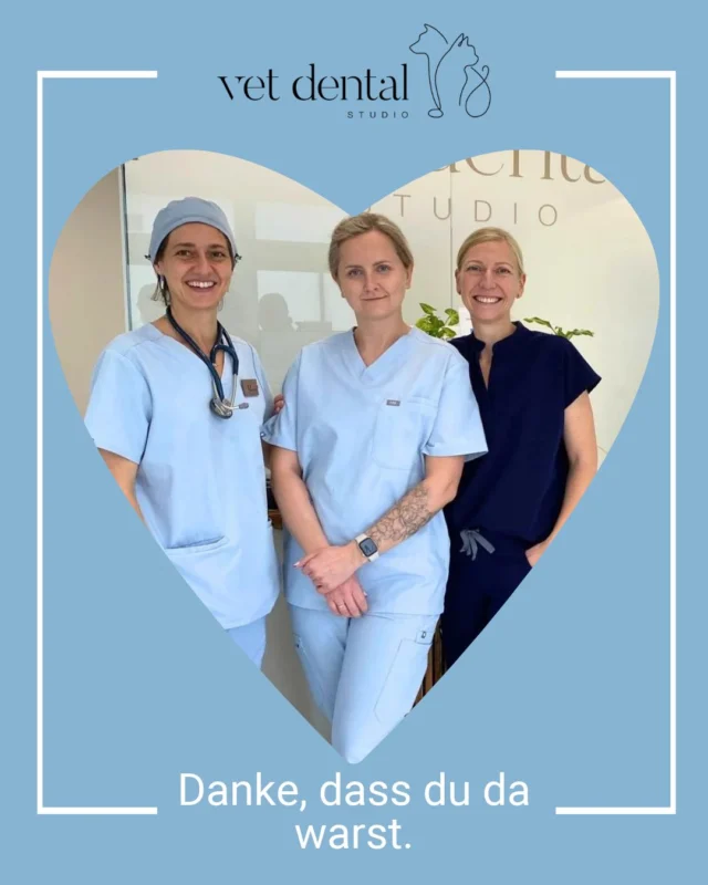 🦷✨ Wissen teilen, voneinander lernen und gemeinsam wachsen!

Letzte Woche durften wir Kamila, Tierärztin aus Polen von @zwierzeca.przystan, bei vetdental.ch zu einer Hospitanz in der Zahnmedizin und Anästhesie begrüssen. 🇵🇱🇨🇭

Liebe Kamila, vielen Dank für dein Interesse, deine spannenden Fragen und deine angenehme, offene Art! 💙 

Es hat uns sehr gefreut, dich bei uns zu haben und unser Wissen und unsere Erfahrungen mit dir zu teilen.

Wir hoffen, dass du viele neue Impulse und praktische Tipps mit in deinen tierärztlichen Alltag nehmen kannst, und wünschen dir ganz viel Freude bei der Umsetzung! 🐾🦷

Alles Gute für dich und dein Team – und vielleicht bis bald! 😊

—
Wir sind #VetDentalCH – die Spezialisten für Tierzahnmedizin bei Hunden und Katzen in Affoltern am Albis (ZH). 💙
—

#Tierzahnmedizin #Fortbildung #Veterinärmedizin